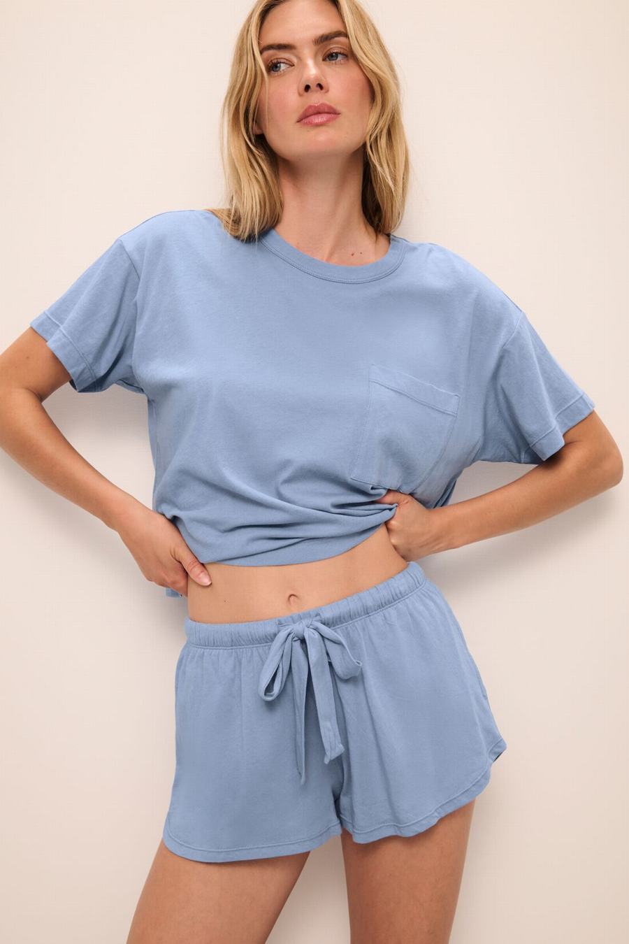 Women Eberjey Aloe Cotton Short Sleeve T-Shirt Blue | YPI3127HF