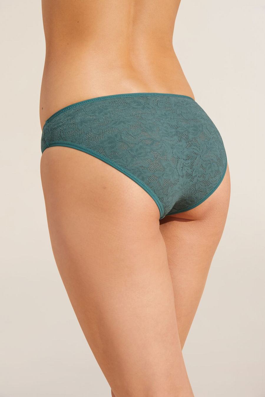 Women Eberjey Soft Stretch Recycled Lace High Leg Briefs Green | MHL3547QG